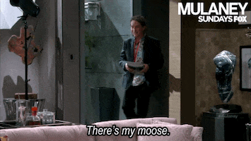 mulaney GIF by Fox TV