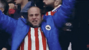 Champions League Football GIF by UEFA