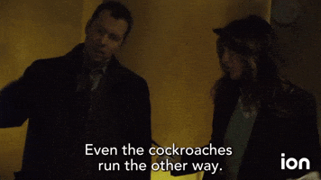 Even the Roaches Run