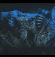 lamberto bava horror movies GIF by absurdnoise