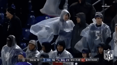 Baltimore Ravens Football GIF by NFL