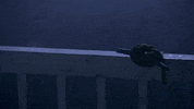 Beth Riesgraf Parker GIF by Amazon Freevee