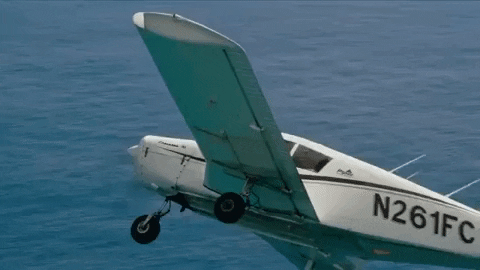Surfing Hawaii GIF by 50statesproject