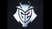 Leaf Wtf GIF by G2 Esports