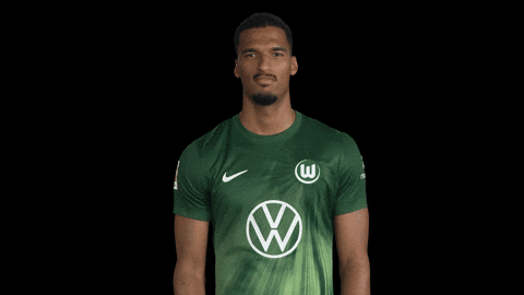 Germany Win GIF by VfL Wolfsburg