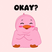 Rubber Duck What GIF by MeetDuckey