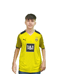 Bvb Sticker by Borussia Dortmund