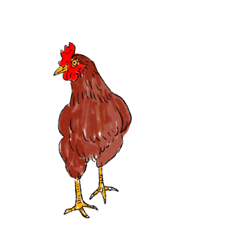 Chicken Pepper Sticker