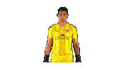 Liga Nos Sticker by CD Tondela