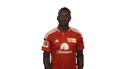 Happy Union Berlin Sticker by Bundesliga