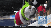 Butler Bulldogs Yawn GIF by Butler University