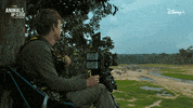 Nat Geo Wow GIF by National Geographic Channel