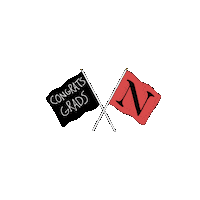 Nuexperience Sticker by Northeastern University