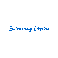 Zmieniamylodzkie Sticker by Aplan Media