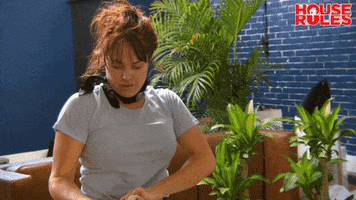 house rules lisa GIF by Channel 7