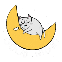 Dream Sleeping Sticker by Franziska Höllbacher