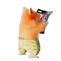 Happy Sticker Sticker by Dedoles