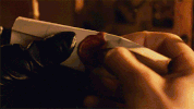 nbc GIF by Timeless