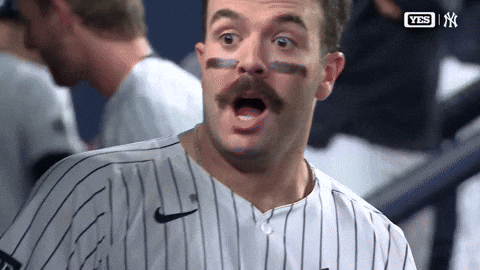 New York Yankees Sport GIF by MLB