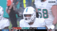Miami Dolphins Football GIF by NFL