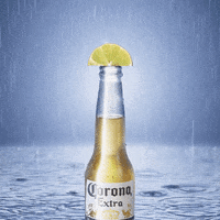 coronacanada corona corona weather GIF