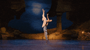 enballet  GIF