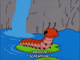 season 13 episode 21 GIF