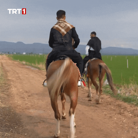 See You Ok GIF by TRT