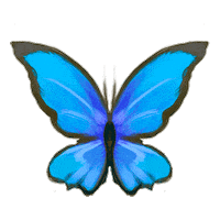 Equideow Lowadi Sticker by Owlient