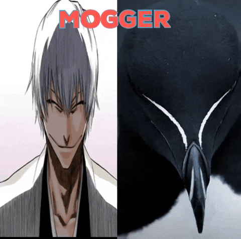 Mogger GIF