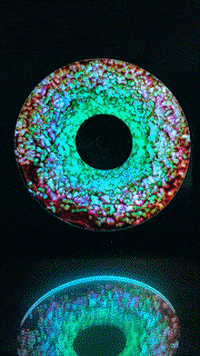 GottaGIFRecords giphyupload GIF