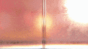 Travel Swag GIF by L.OL. Surprise!