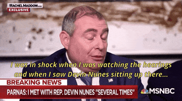 news msnbc rachel maddow devin nunes lev parnas GIF