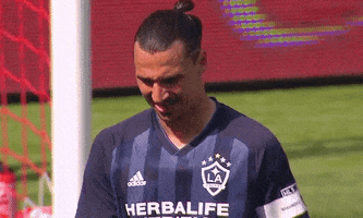 la galaxy ok GIF by Major League Soccer