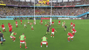World Rugby Sport GIF by Rugby World Cup