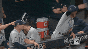 Excited Major League Baseball GIF by MLB
