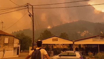 'Unprecedented' Wildfires Continue to Burn on Greek Island of Evia