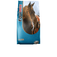 Cavalos Sticker by integralmix