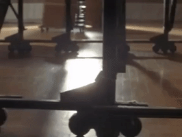 the mystery files of shelby woo nicksplat GIF