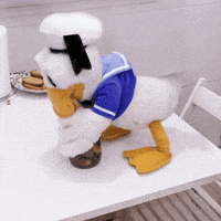 SanPitoPato donald duck pato pato donald san pito pato GIF