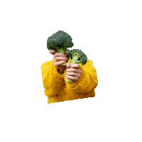 gflinnovationug vegan healing veggie heal Sticker
