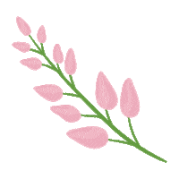 pink flower Sticker by Tok&Stok