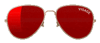 Sunglass Oculosdesol Sticker by Visage Moda Optica