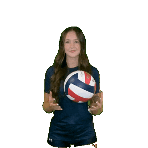 Womens Volleyball Sticker by Clarke University