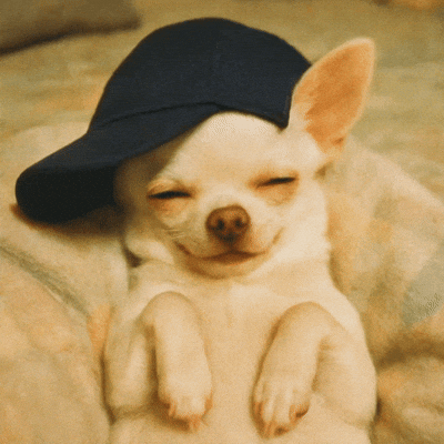 chiroroharu dog puppy tired sleep GIF