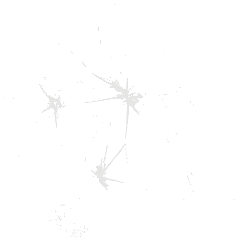 Coachella Mayhem Sticker by Lady Gaga