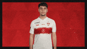 Vfb Stuttgart Football GIF by Bundesliga