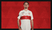 Vfb Stuttgart Hello GIF by Bundesliga