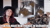 sciencewithsophie country music quarantine chipmunks new friends GIF