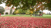 Maccampus GIF by McGill University